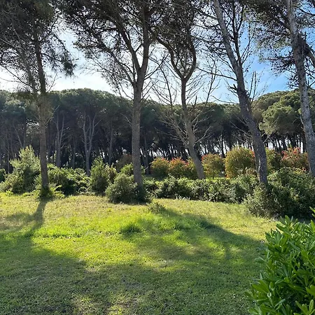 Alimini 2