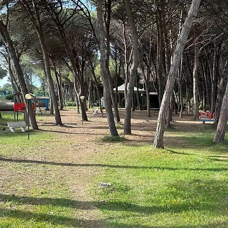 Alimini 2