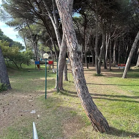 Alimini 2