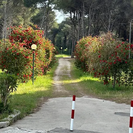 Appartamento Alimini 2 Otranto